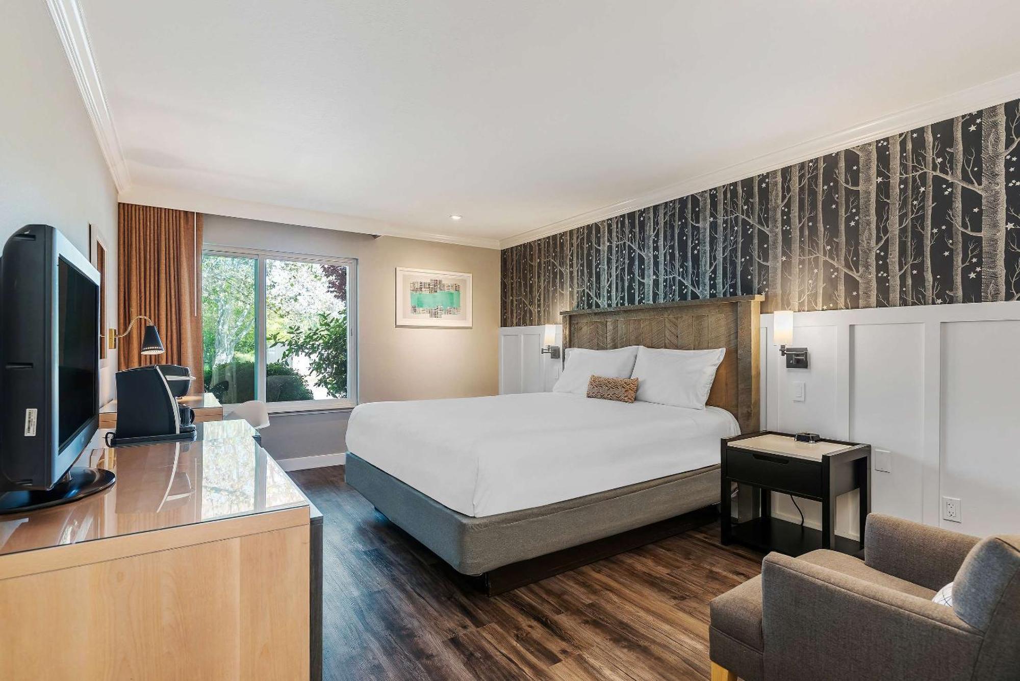 Upvalley & Hot Springs, Ascend Collection Calistoga