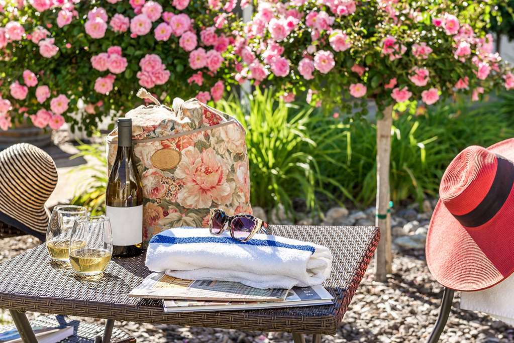 Upvalley & Hot Springs, Ascend Collection Calistoga